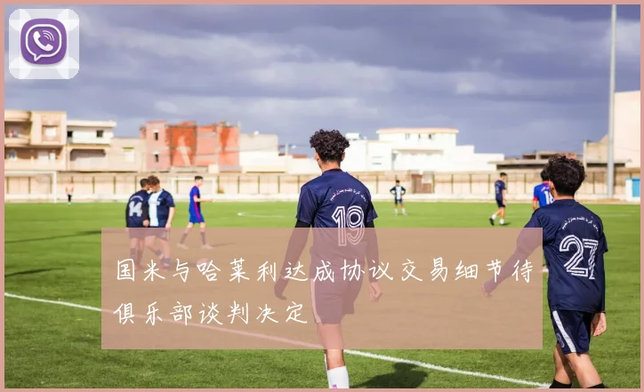国米与哈莱利达成协议交易细节待俱乐部谈判决定